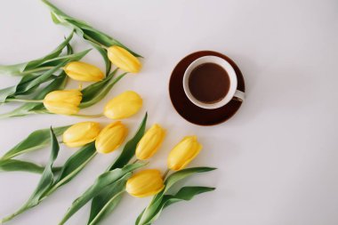 Beyaz arka planda lale ler çerçevesinde bir kahve fincanı. Düz yatıyordu, üstten bak. Tatil kavramı, doğum günü, Paskalya, 8 Mart
