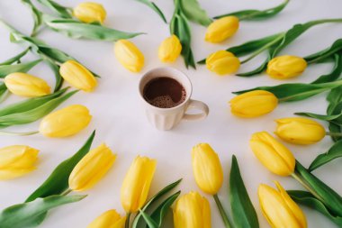 Beyaz arka planda lale ler çerçevesinde bir kahve fincanı. Düz yatıyordu, üstten bak. Tatil kavramı, doğum günü, Paskalya, 8 Mart