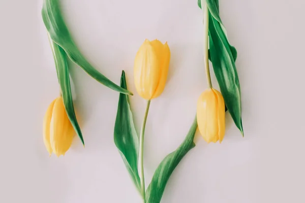 Beautiful yellow tulips on white background. Flat lay, top view, copy space. Concept of holiday, birthday, Easter, March 8.