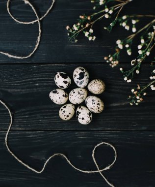  Koyu arka planda bıldırcın yumurtaları ile Rustik paskalya natürmort. Düz döşeme, üst görünüm