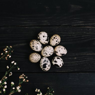 Koyu arka planda yumurta ile Paskalya natürmort. Düz döşeme, üst görünüm