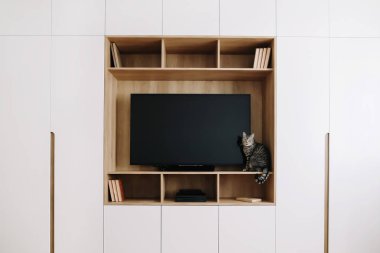 Modern iç sevimli kedi. Ahşap duvarda tv ve beyaz bir gardırop ile oturma odası. İskandinav tarzı, minimal kavram. 