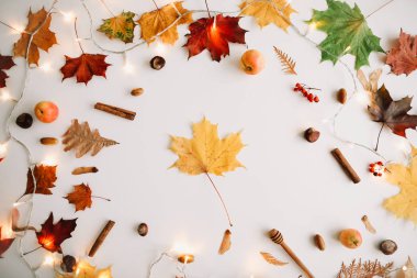 Sonbahar kompozisyonu. Desen beyaz arka plan üzerinde sonbahar şeyler yapılmış. Sonbahar, sonbahar konsepti. Düz döşeme, üst görünüm, kopyalama alanı