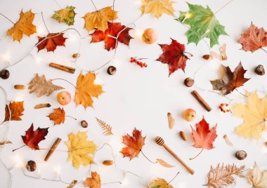 Sonbahar kompozisyonu. Desen beyaz arka plan üzerinde sonbahar şeyler yapılmış. Sonbahar, sonbahar konsepti. Düz döşeme, üst görünüm, kopyalama alanı