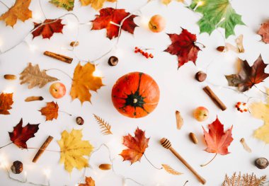 Sonbahar kompozisyonu. Desen beyaz arka plan üzerinde sonbahar şeyler yapılmış. Sonbahar, sonbahar konsepti. Düz döşeme, üst görünüm, kopyalama alanı