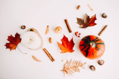Sonbahar kompozisyonu. Beyaz arka plan üzerinde sonbahar yapraklarından yapılmış çerçeve. Flatlay, üst görünüm, kopyalama alanı. Sonbahar kavramı.