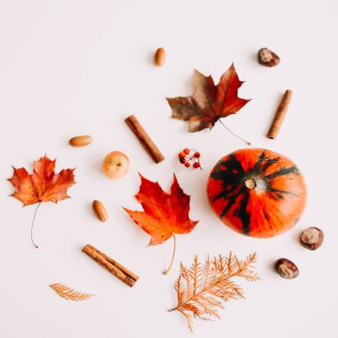 Sonbahar kompozisyonu. Beyaz arka plan üzerinde sonbahar yapraklarından yapılmış çerçeve. Flatlay, üst görünüm, kopyalama alanı. Sonbahar kavramı.