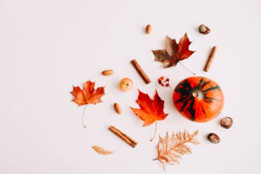 Sonbahar natürmort: kabak, yapraklar, beyaz arka plan meşe palamudu. Şükran Günü çerçevesi. Kopya alanı. Üst te. Düz yatıyordu
