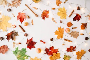 Sonbahar kompozisyonu. Desen beyaz arka plan üzerinde sonbahar şeyler yapılmış. Sonbahar, sonbahar konsepti. Düz döşeme, üst görünüm, kopyalama alanı