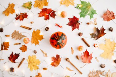 Sonbahar kompozisyonu. Beyaz arka plan üzerinde sonbahar yapraklarından yapılmış çerçeve. Flatlay, üst görünüm, kopyalama alanı. Sonbahar kavramı.