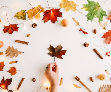 Sonbahar kompozisyonu. Beyaz arka plan üzerinde sonbahar yapraklarından yapılmış çerçeve. Flatlay, üst görünüm, kopyalama alanı. Sonbahar kavramı.