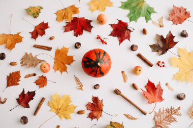 Sonbahar kompozisyonu. Beyaz arka plan üzerinde sonbahar yapraklarından yapılmış çerçeve. Flatlay, üst görünüm, kopyalama alanı. Sonbahar kavramı.