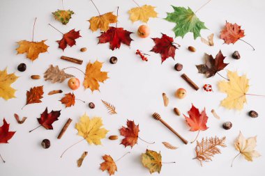 Sonbahar kompozisyonu. Beyaz arka plan üzerinde sonbahar yapraklarından yapılmış çerçeve. Flatlay, üst görünüm, kopyalama alanı. Sonbahar kavramı.