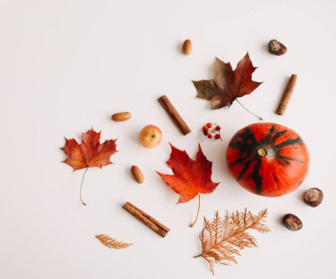 Sonbahar kompozisyonu. Beyaz arka plan üzerinde sonbahar yapraklarından yapılmış çerçeve. Flatlay, üst görünüm, kopyalama alanı. Sonbahar kavramı.
