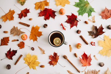 Sonbahar kompozisyonu. Desen beyaz arka plan üzerinde sonbahar şeyler yapılmış. Sonbahar, sonbahar konsepti. Düz döşeme, üst görünüm, kopyalama alanı