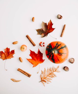 Sonbahar kompozisyonu. Beyaz arka plan üzerinde sonbahar yapraklarından yapılmış çerçeve. Flatlay, üst görünüm, kopyalama alanı. Sonbahar kavramı.