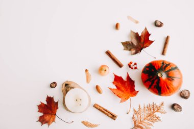 Sonbahar natürmort: kabak, yapraklar, beyaz arka plan meşe palamudu. Şükran Günü çerçevesi. Kopya alanı. Üst te. Düz yatıyordu