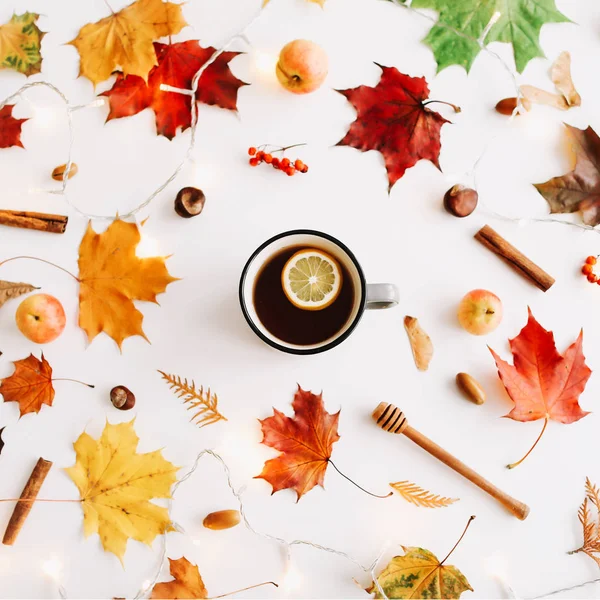 Sonbahar kompozisyonu. Beyaz arka plan üzerinde sonbahar yapraklarından yapılmış çerçeve. Flatlay, üst görünüm, kopyalama alanı. Sonbahar kavramı.