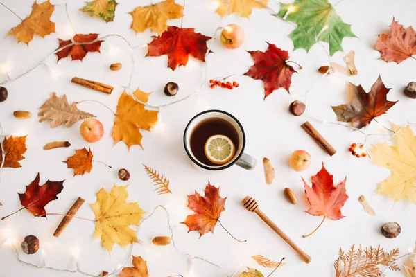 Autumn composition. Frame made of autumn leaves on white background. Flatlay, top view, copy space. Fall concept.