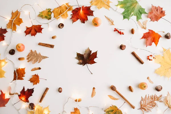 Sonbahar kompozisyonu. Beyaz arka plan üzerinde sonbahar yapraklarından yapılmış çerçeve. Flatlay, üst görünüm, kopyalama alanı. Sonbahar kavramı.