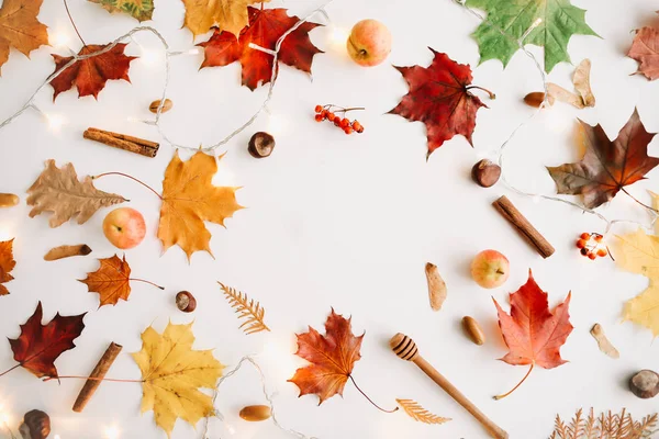 Sonbahar kompozisyonu. Desen beyaz arka plan üzerinde sonbahar şeyler yapılmış. Sonbahar, sonbahar konsepti. Düz döşeme, üst görünüm, kopyalama alanı