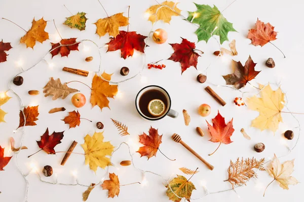 Sonbahar kompozisyonu. Beyaz arka plan üzerinde sonbahar yapraklarından yapılmış çerçeve. Flatlay, üst görünüm, kopyalama alanı. Sonbahar kavramı.