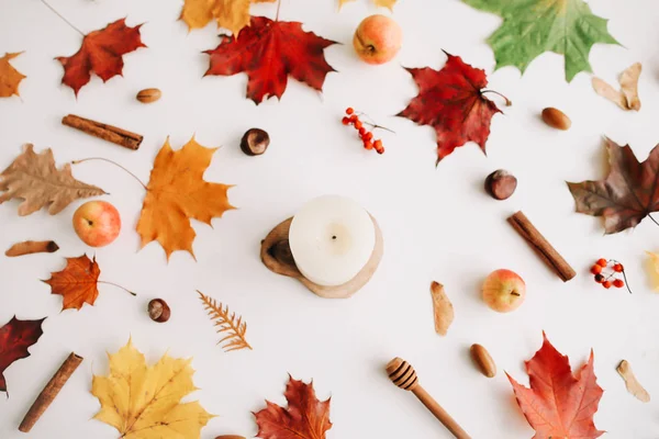 Sonbahar kompozisyonu. Beyaz arka plan üzerinde sonbahar yapraklarından yapılmış çerçeve. Flatlay, üst görünüm, kopyalama alanı. Sonbahar kavramı.