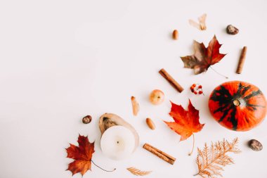 Sonbahar kompozisyonu. Beyaz arka plan üzerinde sonbahar yapraklarından yapılmış çerçeve. Flatlay, üst görünüm, kopyalama alanı. Sonbahar kavramı.