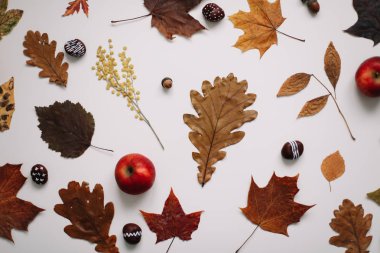 Autumn, sonbahar kompozisyonu. Kurumuş yaprakların güzel arka planı. Yaratıcı sonbahar şablonu, kartpostal. Düz yatış, üst görünüm.