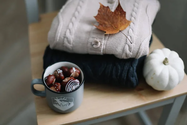 Sfondo con abiti a maglia e foglie autunnali, sfondo caldo, maglieria, spazio per il testo, concetto autunno inverno . — Foto Stock