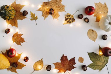 Sonbahar, sonbahar dokusu. Cadılar Bayramı, Şükran Günü arkaplanı