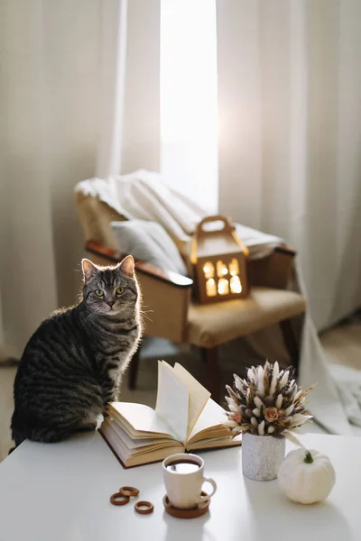 Outono ainda vida. Decoração de casa estilo rústico. Ainda detalhes da vida da sala de estar. Conceito de fim de semana de outono. Queda decoração de casa . — Fotografia de Stock