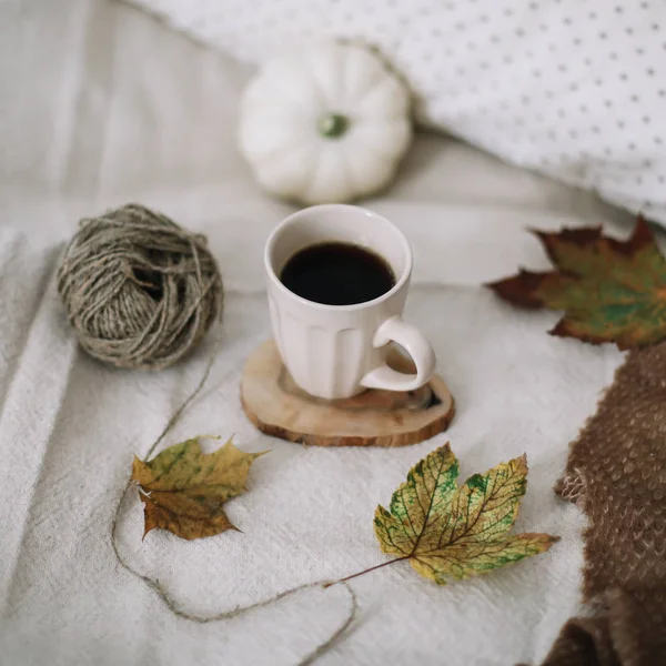 주물 장식 과 구도. 가을, 가을, 할로윈, 추수감사절 컨셉트. — 스톡 사진