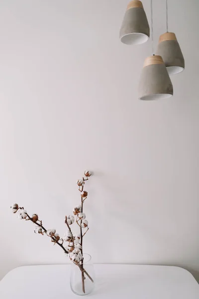 Ветвь хлопка в вазе на столе на светлом фоне. Интерьер дома. Блог или концепция социальных медиа. минималистичный дизайн интерьера . — стоковое фото