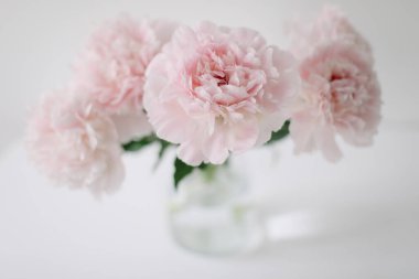 Katalog ya da online mağaza için güzel pembe şakayıklar. Çiçek dükkanı konsepti. Taze kesilmiş güzel bir buket. Çiçek teslimatı