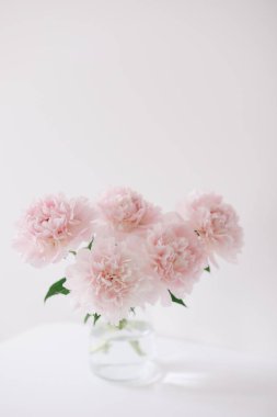 Katalog ya da online mağaza için güzel pembe şakayıklar. Çiçek dükkanı konsepti. Taze kesilmiş güzel bir buket. Çiçek teslimatı