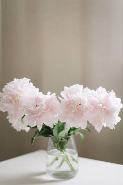 Evdeki vazoda güzel pembe şakayıklar. Çiçek kompozisyonu. Çiçek dükkanı konsepti. Taze kesilmiş güzel bir buket. kopyalama alanı