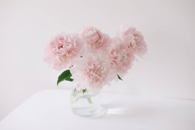 Evdeki vazoda güzel pembe şakayıklar. Çiçek kompozisyonu. Çiçek dükkanı konsepti. Taze kesilmiş güzel bir buket. kopyalama alanı