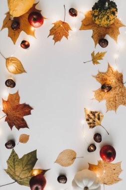 Autumn, sonbahar kompozisyonu. Kurumuş yaprakların güzel arka planı. Yaratıcı sonbahar şablonu, kartpostal. Düz yatış, üst görünüm.