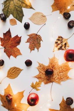Autumn, sonbahar kompozisyonu. Kurumuş yaprakların güzel arka planı. Yaratıcı sonbahar şablonu, kartpostal. Düz yatış, üst görünüm.