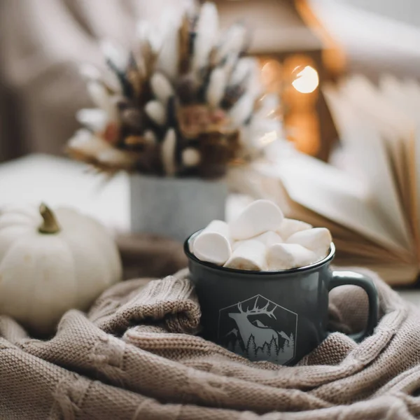 Piatto d'autunno giaceva. Decorazione autunnale stagionale. Ringraziamento, Halloween e autunno concetto. Accogliente immagine calda, stile hygge — Foto Stock