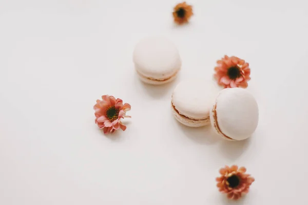 Trendy design with macaroons and flowers on white background. top view.  Place for text. Birthday, wedding card — Stock Photo, Image