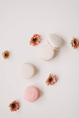 Beyaz arka planda badem kurabiyeli ve çiçekli moda tasarım. Üst Manzara. Mesaj için yer. Doğum günü, düğün kartı