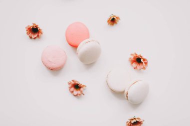 Beyaz arka planda badem kurabiyeli ve çiçekli moda tasarım. Üst Manzara. Mesaj için yer. Doğum günü, düğün kartı