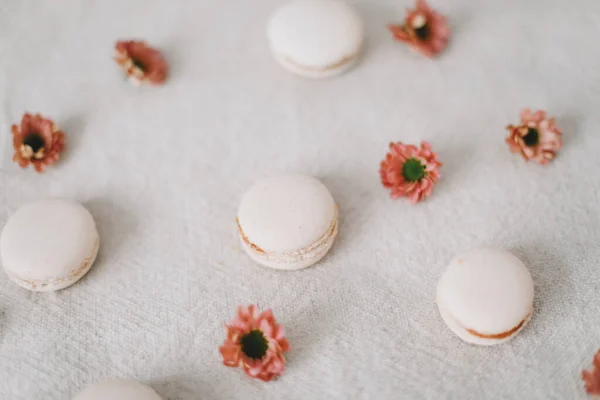 Trendy design with macaroons and flowers on white background. top view.  Place for text. Birthday, wedding card — Stock Photo, Image