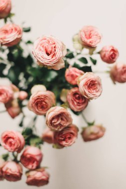 Beyaz arka planda pembe güller olan çiçek kompozisyonu. Düz yatar, üst görünüm bayram kutlaması kahraman başlığı