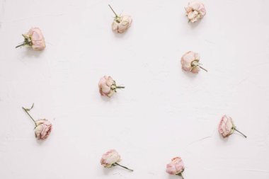 Beyaz arka planda pembe güller olan çiçek kompozisyonu. Düz yatar, üst görünüm bayram kutlaması kahraman başlığı