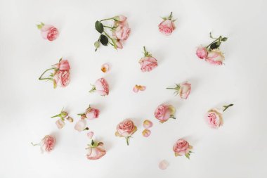 Güllü çiçek kompozisyonu. Beyaz arka planda çiçek deseni. Düz yerde, üst tarafta. Bayram kahramanı başlığı