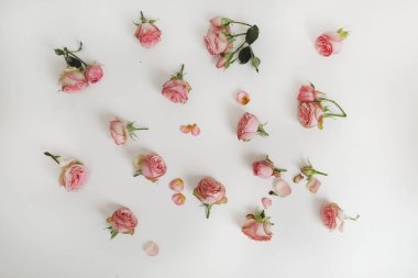 Güllü çiçek kompozisyonu. Beyaz arka planda çiçek deseni. Düz yerde, üst tarafta. Bayram kahramanı başlığı