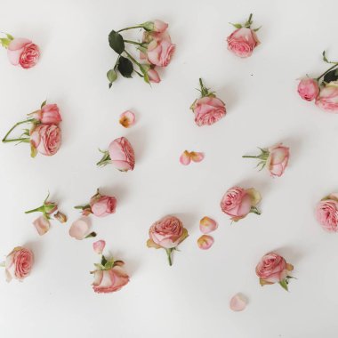 Güllü çiçek kompozisyonu. Beyaz arka planda çiçek deseni. Düz yerde, üst tarafta. Bayram kahramanı başlığı